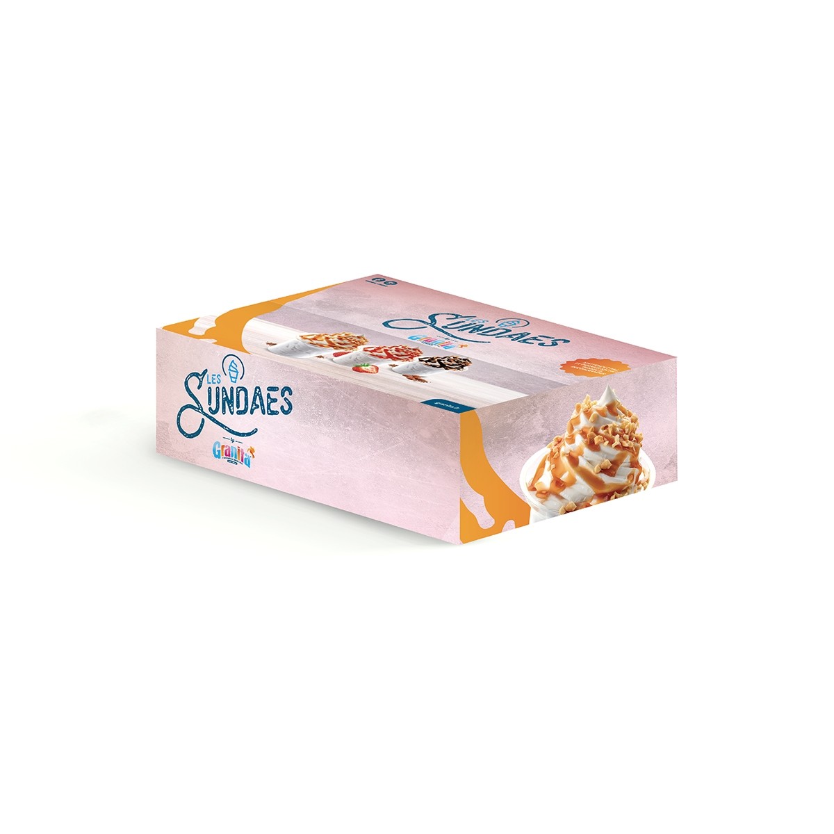 Carton de Mix Poudre pour Sundae