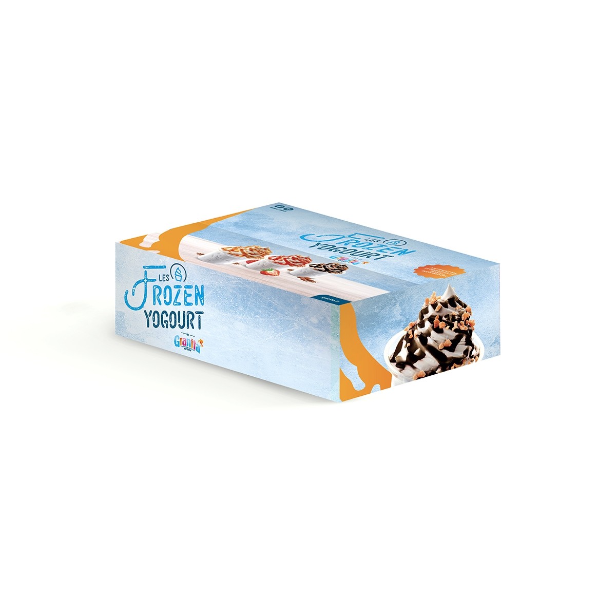 Carton de Mix Poudre pour Frozen Yogourt